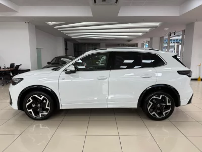 HATASIZ 2025 VOLKSWAGEN TİGUAN 1.5 E-TSI R LİNE 150 BG